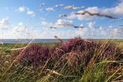Top Cuxhaven