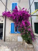 Family&Friends Lovely Apartment House in Punat