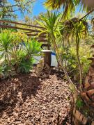 Top São Brás de Alportel