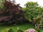 Top Wurster Nordseeküste