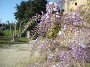 Top LʼIsle-sur-la-Sorgue
