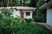 Top Tarapoto