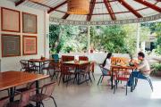 Top Tarapoto