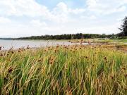 Top Farsø