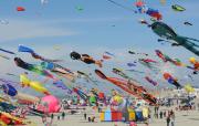 Top Berck-sur-Mer