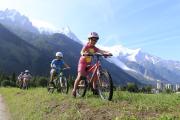 Top Vallorcine