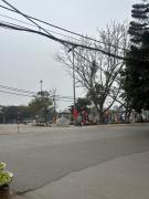 Top Kỳ Lừa