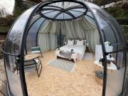 Top Bouillon