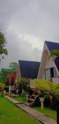 Top Sajang