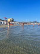 Top Imperia