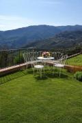 Top Cireglio