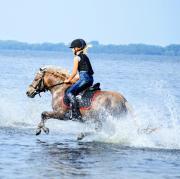 Top Neubukow