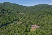 Top Waynesville