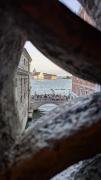 Top Venice