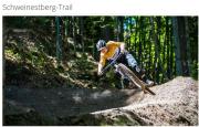 Top Fieberbrunn