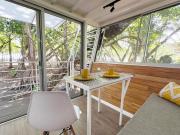 Top Zancudo Top Zancudo