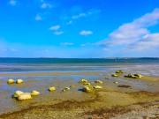 Top Bogø By