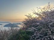 Top Mitoyo