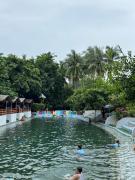 Top Panong