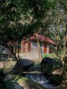Toom Sara Forest Stay - Danang