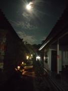 Top Ubud