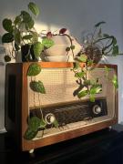 Top Bolembre de Baixo