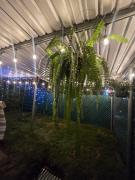 Apartment with its own 100-inch cinema