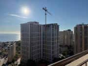 Top Odesa