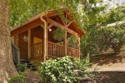 Ani Cabin Tiny Home Bordered By National Forest