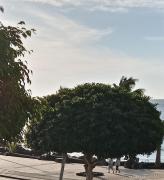 Top Puerto del Carmen