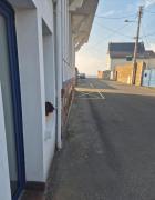 Appartement de plain-pied, plage à 30m avec terrasse et parking