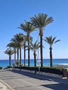 Top Paralimni