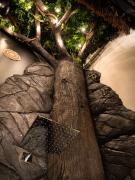 Top Saint-Paul-Trois-Châteaux