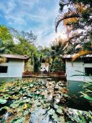 Top Kampong Sum Sum