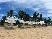 Top Porto de Galinhas