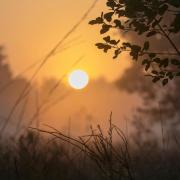 Autentieke pipowagen Bijzonder Buitenaf met jacuzzi en Finse sauna