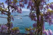 Villa San Michele - Happy Rentals