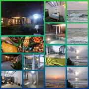 Shells By D