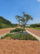 Happy Home at Zimbali Lakes 104