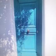 Top Platis Yialos Mykonos