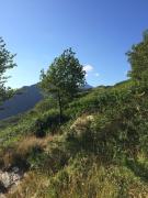 Top Pescaglia Top Pescaglia