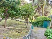Top Levanto