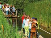 12 person holiday home in Wendtorf