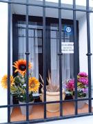 Top Zahara de la Sierra