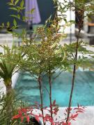 Villas Ambiance 21 Elégance Méditerranéenne à Portiragnes entre Terre et Mer Villa Séréna