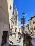 Top Burgos