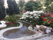 Top Ohrid