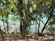 Top Momoxpan Top Momoxpan