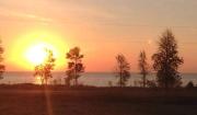 Top Algoma