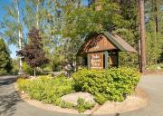Top Tahoe City